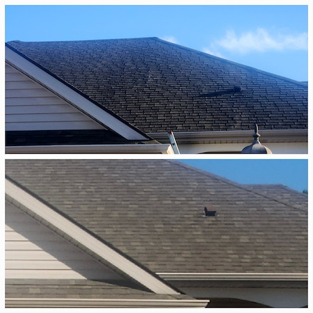 What is roof rejuvenation and how can it extend the life of your roof