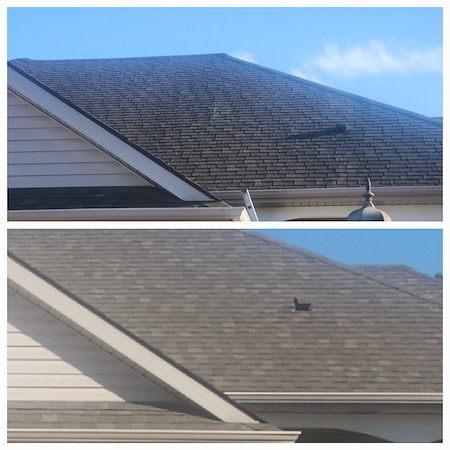 Why are homeowners choosing roof rejuvenation instead of roof replacement