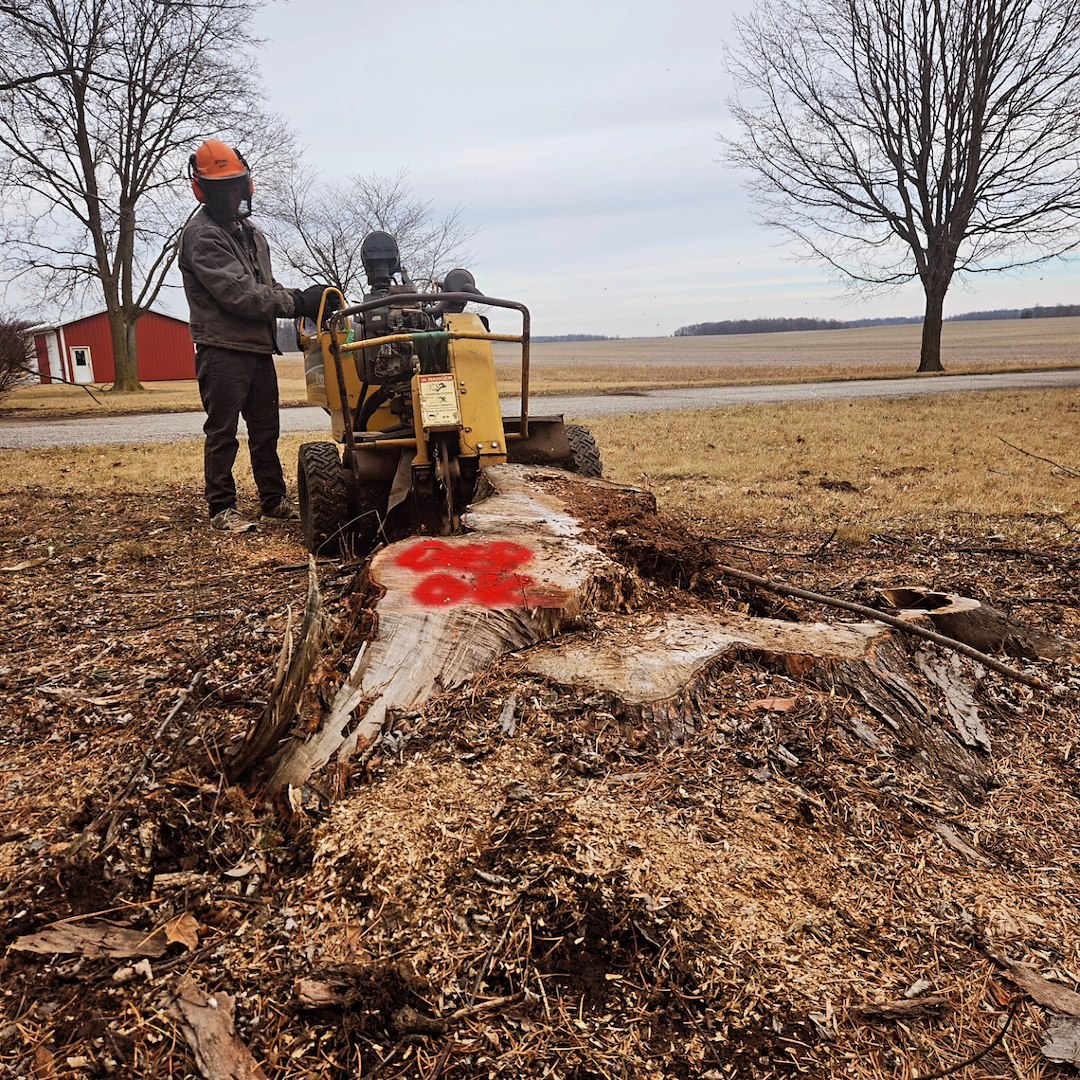 Quality Stump Grinding Project – Fort Wayne Area