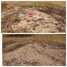 Quality-Stump-Grinding-Project-Fort-Wayne-Area 0