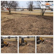 Quality-Stump-Grinding-Project-Fort-Wayne-Area 1