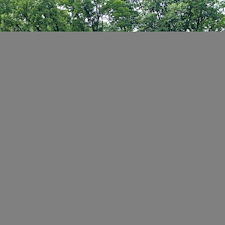 Roof-Washing-Restores-the-Beauty-of-This-Fort-Wayne-Home 0