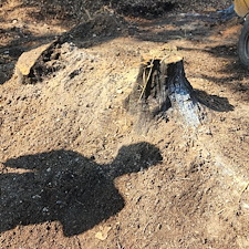 Stump-Grinding-for-Playground-Prep-New-Haven-IN 1