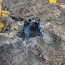 Stump-Grinding-for-Playground-Prep-New-Haven-IN 2