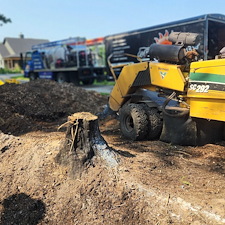 Stump-Grinding-for-Playground-Prep-New-Haven-IN 0
