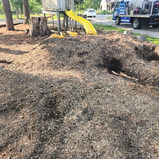 Stump-Grinding-for-Playground-Prep-New-Haven-IN 3