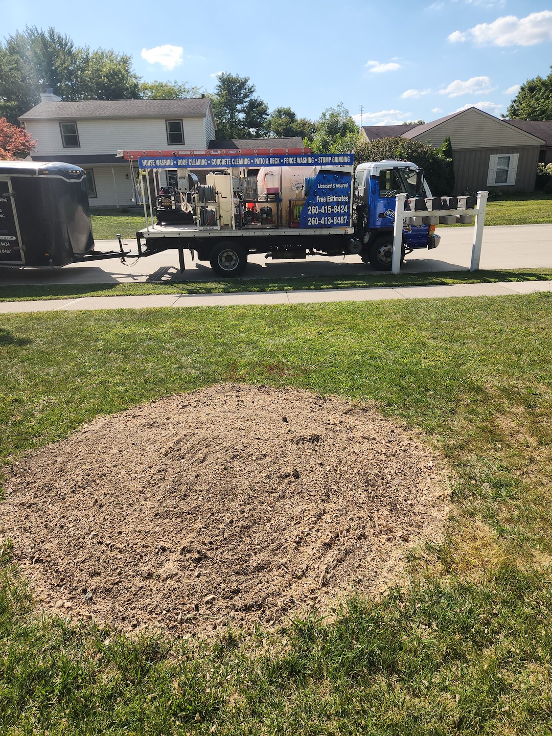 Stump Grinding for Tree Replanting — Aboite Lake Estates, Fort Wayne