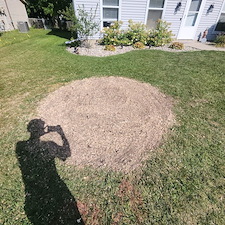 Stump-Grinding-for-Tree-Replanting-Aboite-Lake-Estates-Fort-Wayne 2