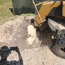 Stump-Grinding-for-Tree-Replanting-Aboite-Lake-Estates-Fort-Wayne 1