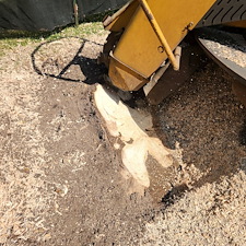 Stump-Grinding-for-Tree-Replanting-Aboite-Lake-Estates-Fort-Wayne 0