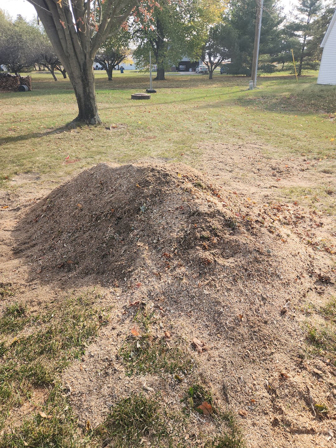 Stump Grinding Project – Hoagland, IN Just Outside Fort Wayne