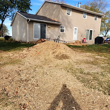 Stump-Grinding-Project-Hoagland-IN-Just-Outside-Fort-Wayne 2