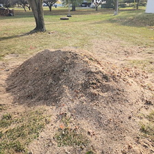 Stump-Grinding-Project-Hoagland-IN-Just-Outside-Fort-Wayne 0