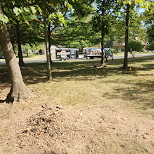 Stump-Grinding-Root-Removal-in-Fort-Wayne 1