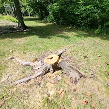 Stump-Grinding-Root-Removal-in-Fort-Wayne 0