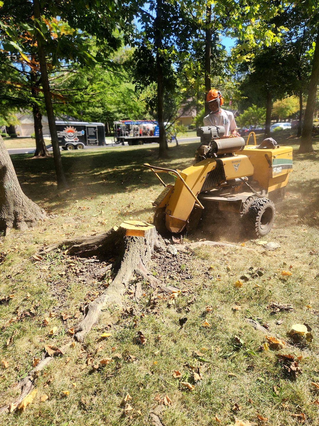 Stump Grinding & Root Removal in Fort Wayne