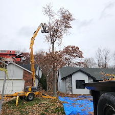 Tree-Removal-Cleanup-Project-Fort-Wayne-IN-46825 0