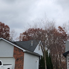 Tree-Removal-Cleanup-Project-Fort-Wayne-IN-46825 3