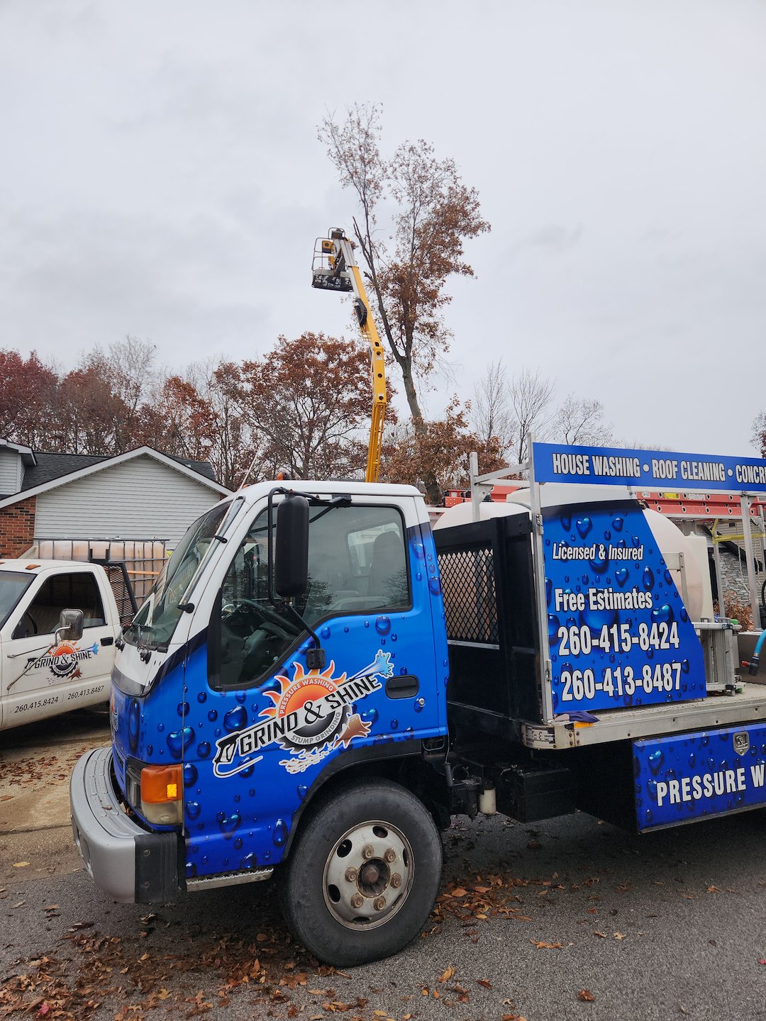 Tree Removal & Cleanup Project – Fort Wayne, IN 46825